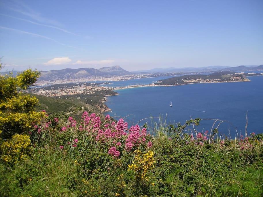 Villa De Charme A 5 Mn Plage ラ・セーヌ・シュル・メール エクステリア 写真